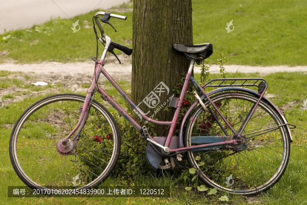 褪了色的自行車