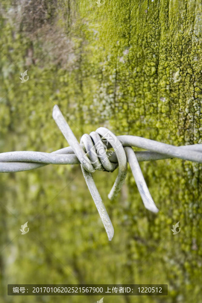 鐵絲網(wǎng)在綠色垃圾