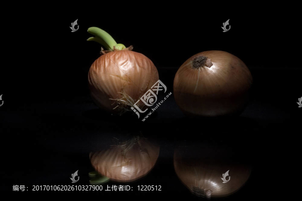 兩個洋蔥