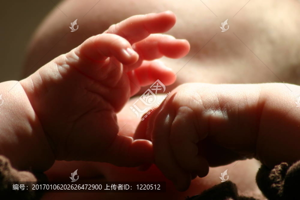 小小的手