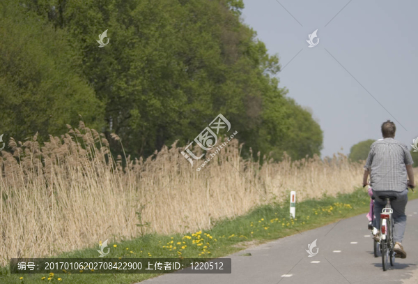 騎自行車的人