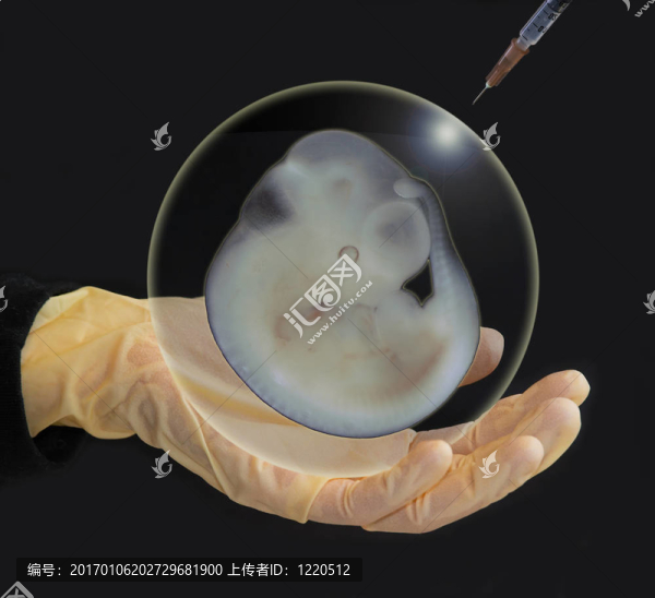 實驗動物研究復合材料