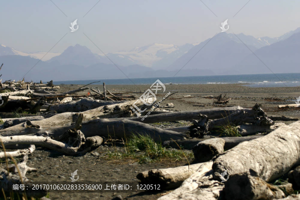 德里夫特伍德Beach