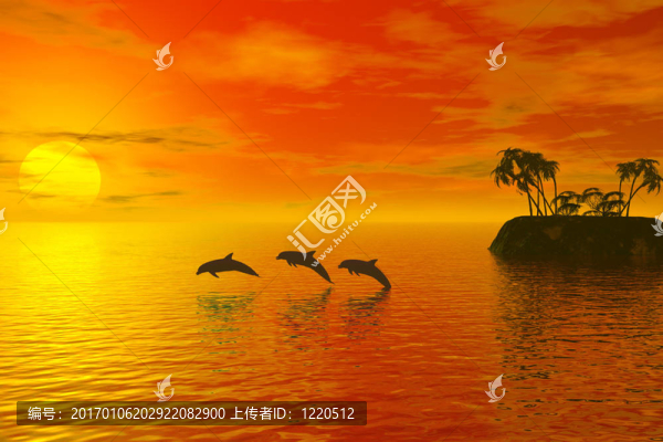 海豚