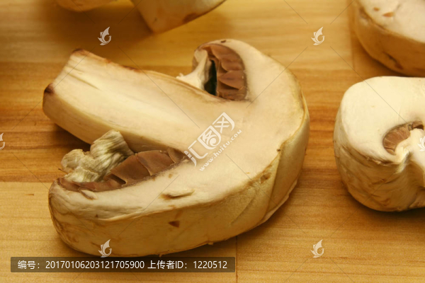 蘑菇