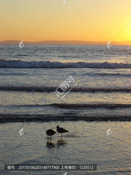 海灘上的日落
