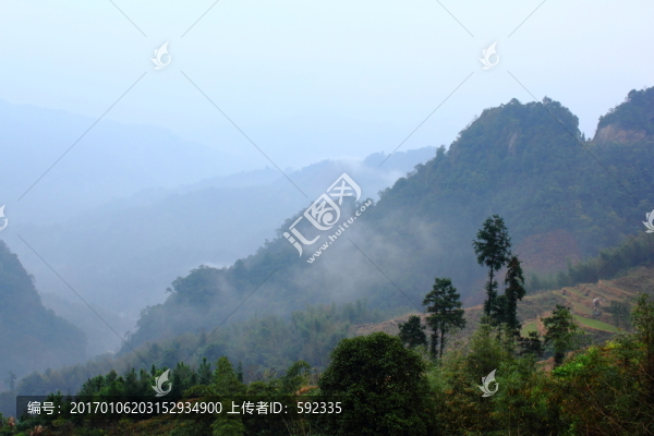 高山云霧