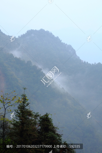 高山云霧