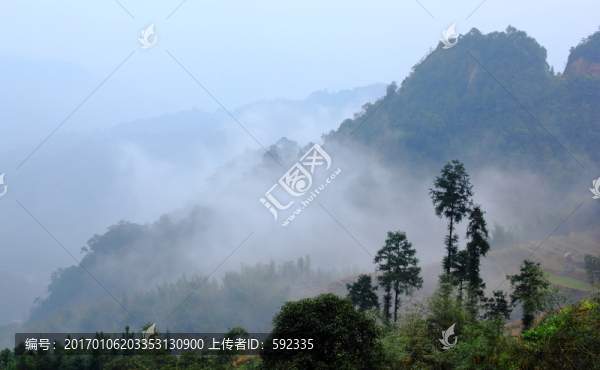 高山云霧