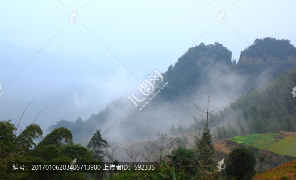 高山云霧