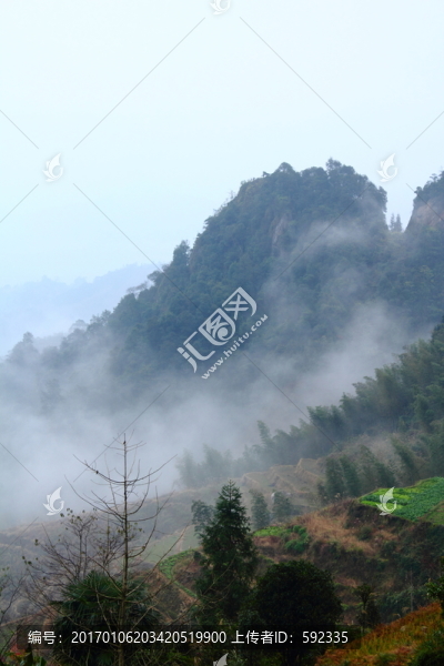 高山云霧