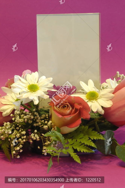 花-匯圖網(wǎng) www.fosd68.com 花