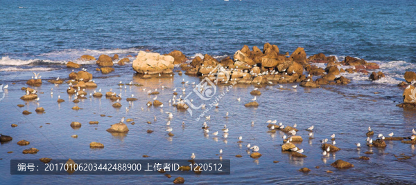 安提貝153