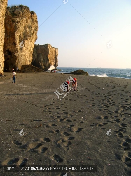 在海灘上撿貝殼