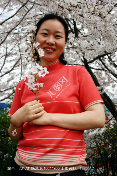 櫻花的女人