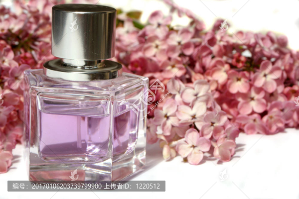 丁香的芬芳