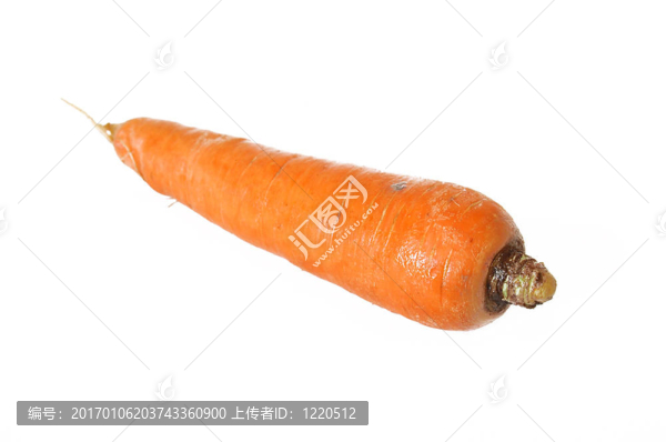 蔬菜