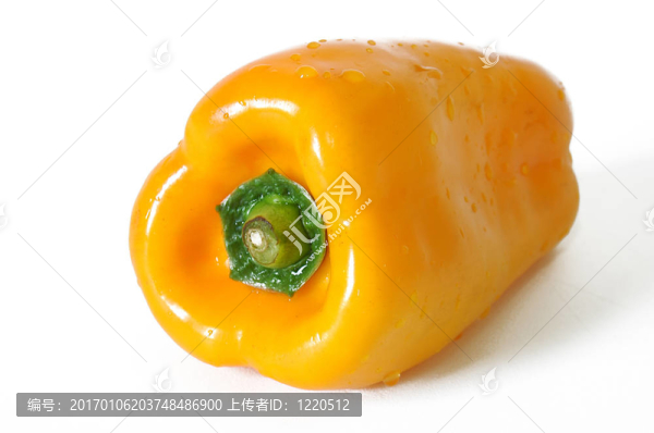 蔬菜