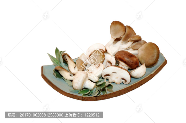 三蘑菇在白色背景的平板上混合