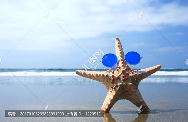常規(guī)的海星