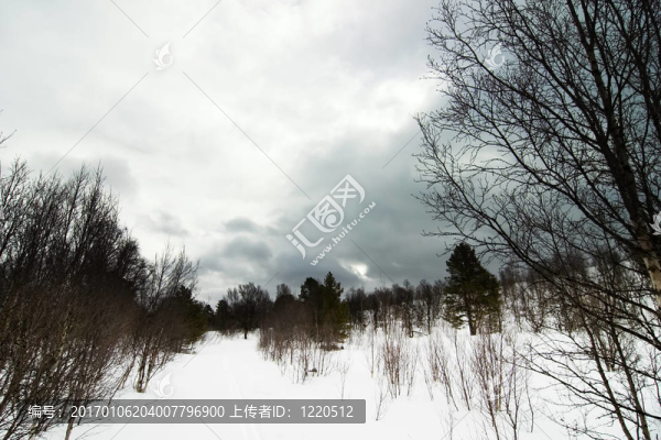 冬季憂郁的風景