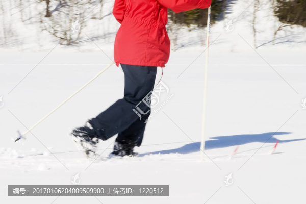 越野景觀