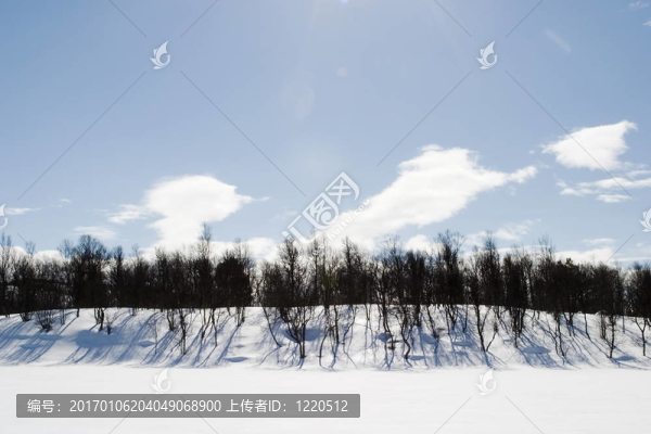 冰凍的湖面景觀