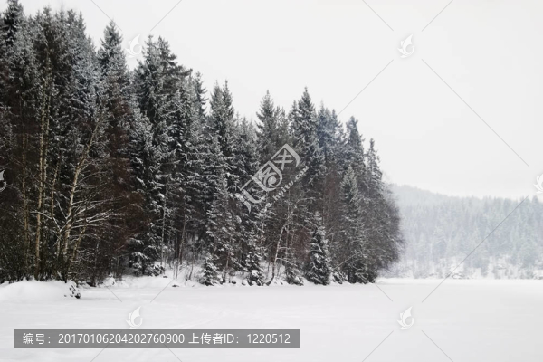 Frozen,Lake與樹(shù)