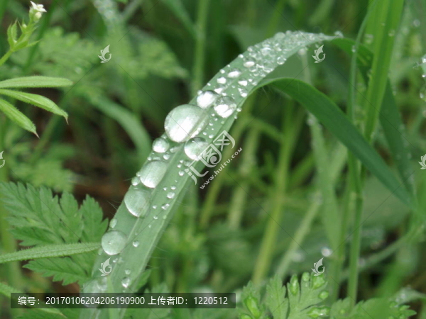 雨后