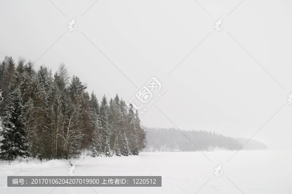 Frozen,Lake與樹