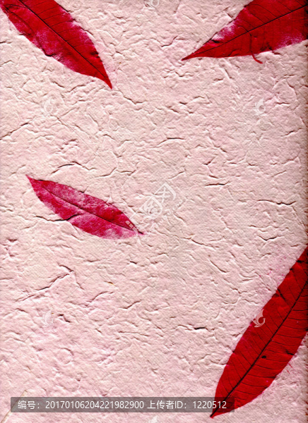 樹葉自然紙；（高分辨率）