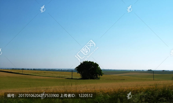 天空和田野