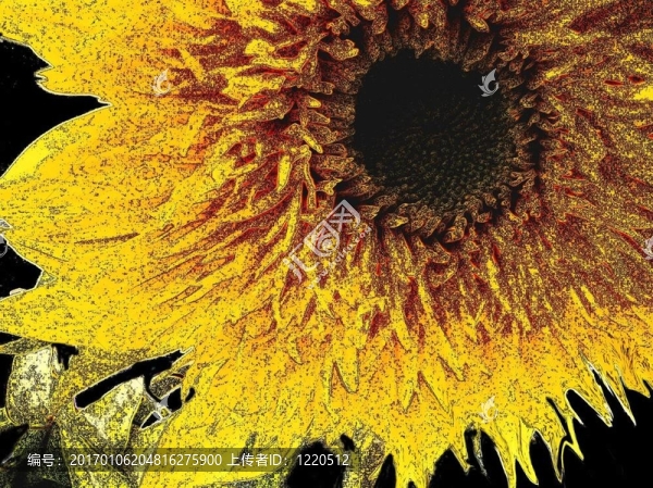 太陽花