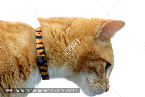 潛行者22