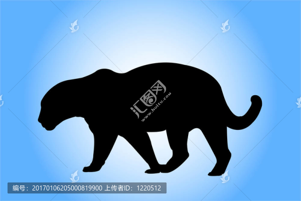 豹