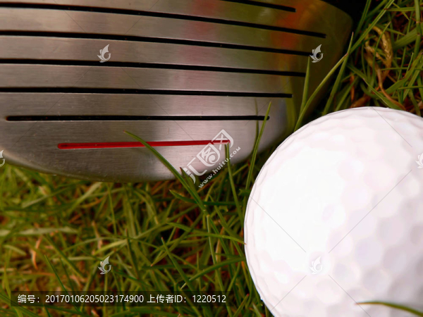 高爾夫球運(yùn)動