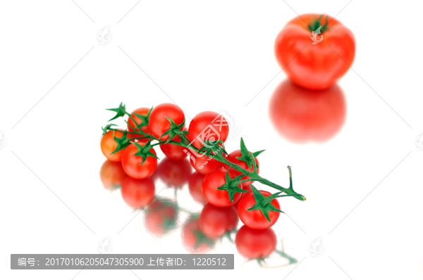 西紅柿
