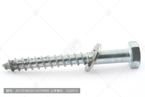 單螺桿和