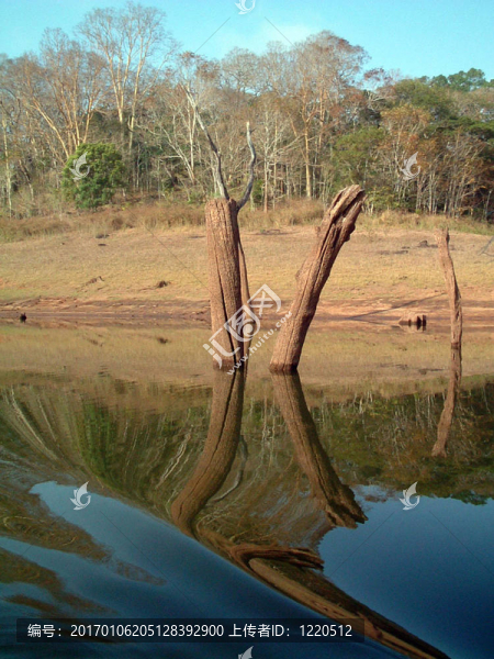 洪水-匯圖網(wǎng) www.fosd68.com 洪水