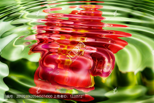 水景觀