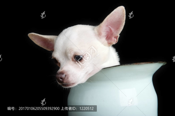 悲傷