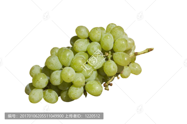 葡萄綠