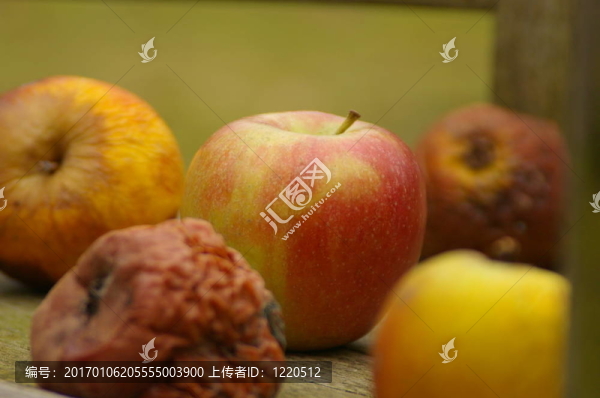 腐爛的蘋果