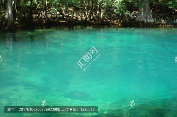 manateespring