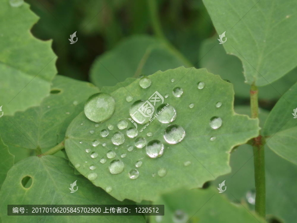 雨后