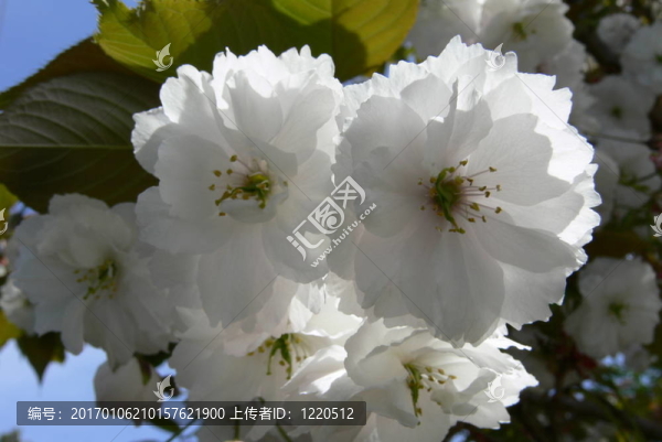 面朝大海,春暖花開