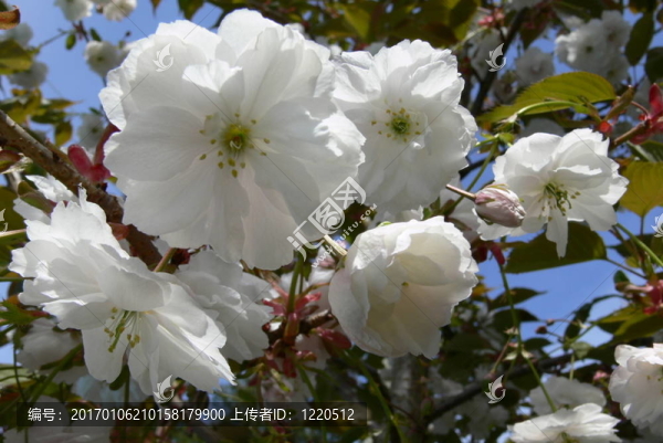面朝大海,春暖花開