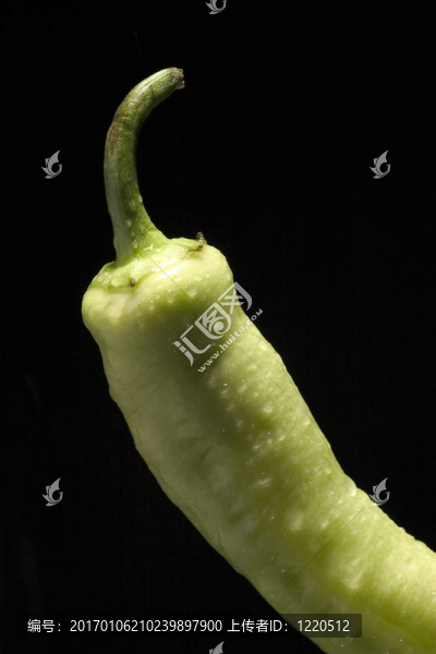 大辣椒