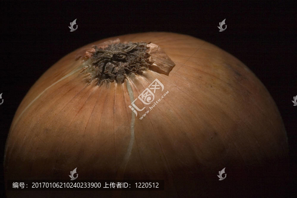 大洋蔥