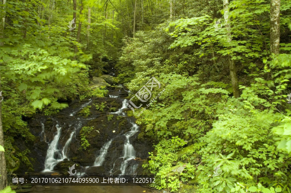 jw_037_005_05-匯圖網(wǎng) www.fosd68.com jw_037_005_05